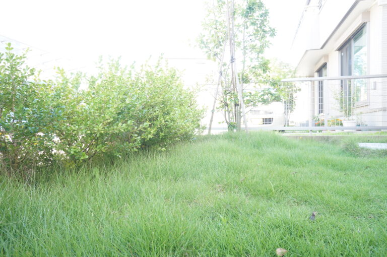 【レビュー】マキタ 充電式草刈機|狭い庭の芝刈りと除草に抜群の使い勝手 ゆるひろブログ|トヨタホーム家づくり日記